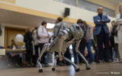 2024-04-19-Targi-Augustów-fot-Dariusz-Piekut