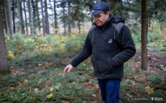 2024-11-13-INL-Jodła-fot-Dariusz-Piekut