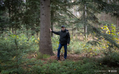 2024-11-13-INL-Jodła-fot-Dariusz-Piekut