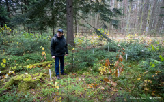2024-11-13-INL-Jodła-fot-Dariusz-Piekut