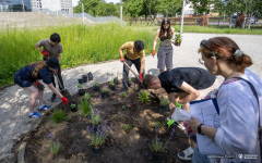 2025-06-06-My-Green-University-na-PB-fot-Dariusz-Piekut-PB
