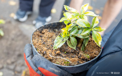 2025-10-10-My-Green-University-2.0-fot-Dariusz-Piekut-PB