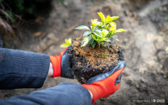 2025-10-10-My-Green-University-2.0-fot-Dariusz-Piekut-PB