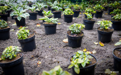 2025-10-10-My-Green-University-2.0-fot-Dariusz-Piekut-PB