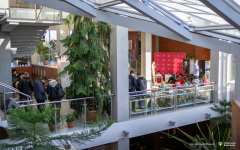 2025-10-21-Turniej-SEP-Royalefot-Dariusz-Piekut-PB