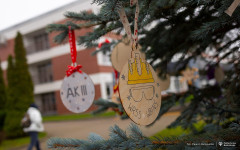 2025-12-01-ubieranie-choinki-fot-P.Jankowski-10