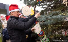 2025-12-03-ubieranie-choinki-fot-P.Jankowski-10