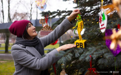 2025-12-03-ubieranie-choinki-fot-P.Jankowski-17