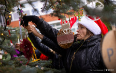 2025-12-03-ubieranie-choinki-fot-P.Jankowski-19