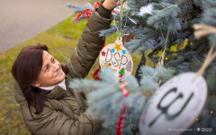 2025-12-03-ubieranie-choinki-fot-P.Jankowski-22