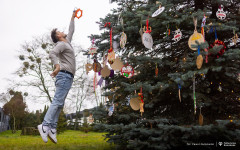 2025-12-03-ubieranie-choinki-fot-P.Jankowski-25