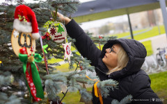 2025-12-03-ubieranie-choinki-fot-P.Jankowski-33