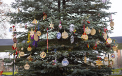 2025-12-03-ubieranie-choinki-fot-P.Jankowski-34