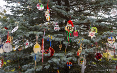 2025-12-03-ubieranie-choinki-fot-P.Jankowski-37