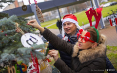 2025-12-03-ubieranie-choinki-fot-P.Jankowski-40