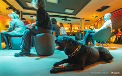 2026-02-26-Kawiarnia-Naukowa-Pułapki-myślenia-fot.-Maciej-Giedrojć-Juraha-PB