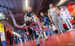 2026-05-17-Podlaski-Festiwal-Nauki-i-Sztuki-fot-Dariusz-Piekut-PB