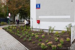 2026-09-21-sadzenie-roslin-fot-Pawel-Jankowski-26