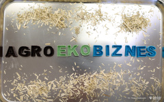 2025-02-26-agroekobiznes-nowy-kierunek-politechniki-bialostockiej-fot-pawel-jankowski