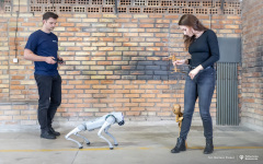 2025-04-02-Marionetka-cyberpies_fot-Dariusz-Piekut-PB