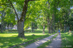 2026-08-05-Hołny-Mejera-fot-Dariusz-Piekut-PB