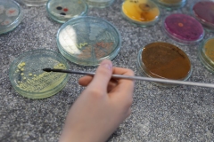 2023-03-17-_Patrycja-Krystkiewicz-AgarArt-fot.Dariusz-Piekut_PB-15