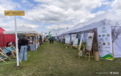 2026-06-19-Krajowe-Dni-Pola-fot-Dariusz-Piekut-PB