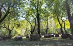 2024-10-08-Cyklarium-Słoboda-fot-Dariusz-Piekut
