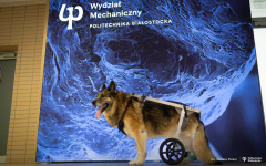 29-04-2024-Wózek-dla-psa-od studentów-z-koła-naukowego-Ortos-fot-Dariusz-Piekut