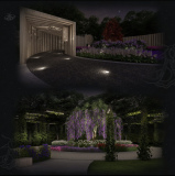 Olfactory Night Garden – Celestial Scents