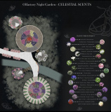 Olfactory Night Garden – Celestial Scents
