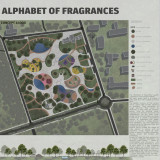 The Alphabet of Fragrances