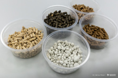 2025-12-18-Koło-naukowe-Rolka-fot-Dariusz-Piekut-PB