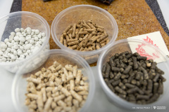 2025-12-18-Koło-naukowe-Rolka-fot-Dariusz-Piekut-PB