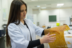 2025-12-18-Koło-naukowe-Rolka-fot-Dariusz-Piekut-PB