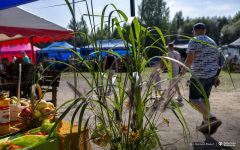 2024-08-25-Fiesta-Balonowa-w-Turośni-Kościelnej-fot-Dariusz-Piekut