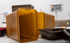 2025-11-24-WM-prof. Jabłrzykowski-fot-Iryna-Mikhno-PB