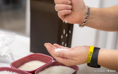 2025-11-24-WM-prof. Jabłrzykowski-fot-Iryna-Mikhno-PB