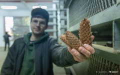 2026-04-22-ćwiczenia-terenowe-studentów-kierunku-leśnictwo-fot-Iryna-Mikhno-PB