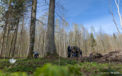 2026-04-22-ćwiczenia-terenowe-studentów-kierunku-leśnictwo-fot-Iryna-Mikhno-PB