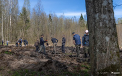 2026-04-22-ćwiczenia-terenowe-studentów-kierunku-leśnictwo-fot-Iryna-Mikhno-PB