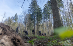 2026-04-22-ćwiczenia-terenowe-studentów-kierunku-leśnictwo-fot-Iryna-Mikhno-PB