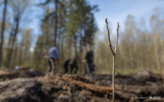 2026-04-22-ćwiczenia-terenowe-studentów-kierunku-leśnictwo-fot-Iryna-Mikhno-PB