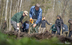 2026-04-22-ćwiczenia-terenowe-studentów-kierunku-leśnictwo-fot-Iryna-Mikhno-PB