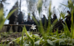 2026-04-22-ćwiczenia-terenowe-studentów-kierunku-leśnictwo-fot-Iryna-Mikhno-PB