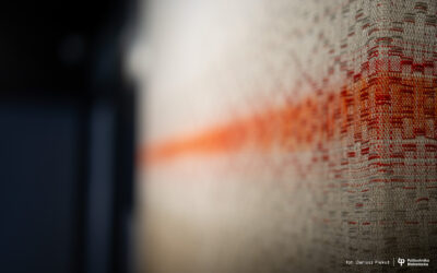 Twórcy z Wydziału Architektury Politechniki Białostockiej przygotowali wystawę „Bezkres Sybiru”