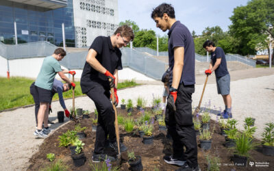 Politechnika Białostocka realizuje projekt My Green University. Zagraniczni wolontariusze posadzili rośliny na kampusie