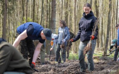 Leśnictwo w praktyce. Zajęcia terenowe studentów z Wydziału Budownictwa i Nauk o Środowisku